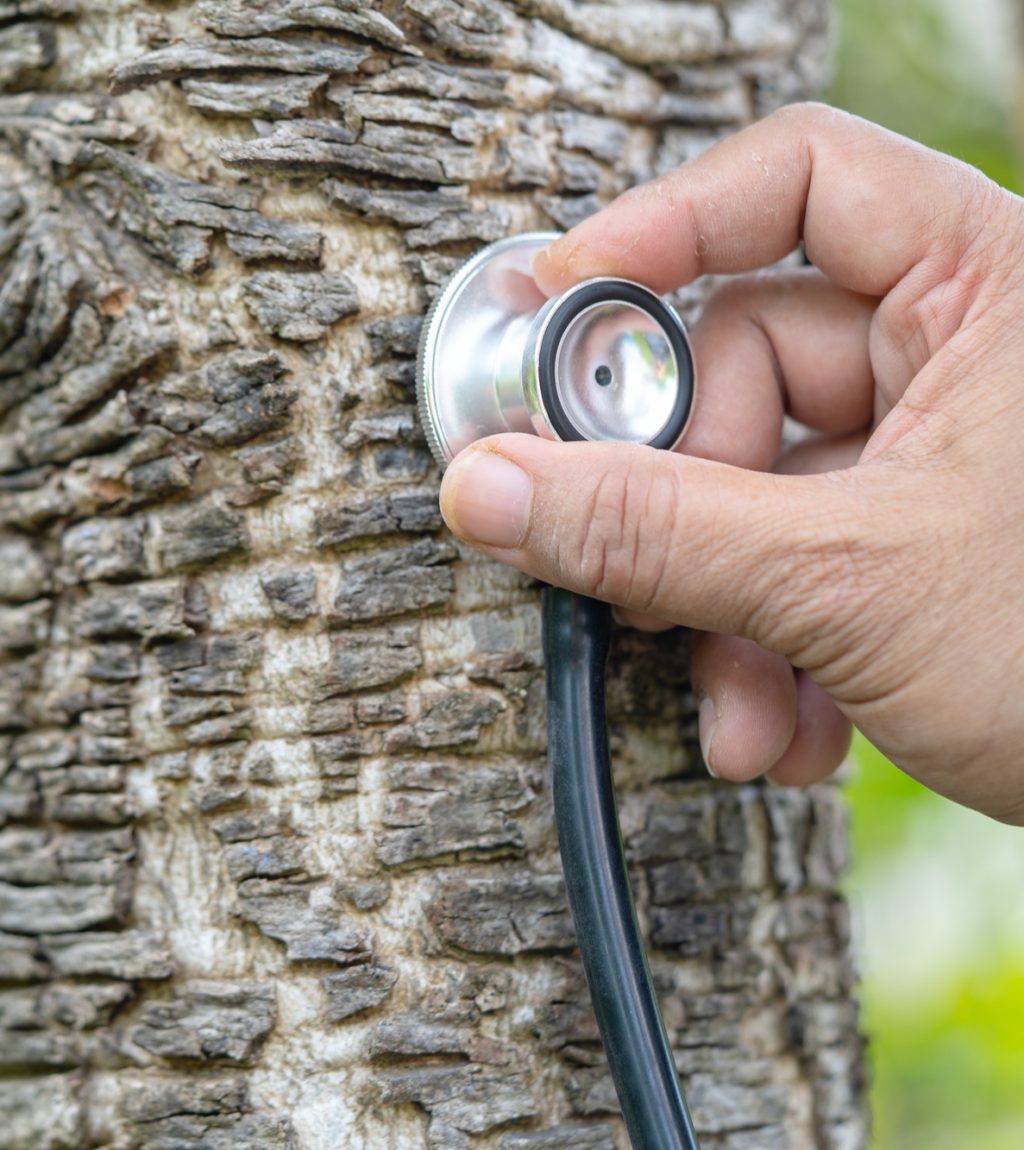 Doctor scientist holding bottle of herb oil plant product, droplet dosing, biology and ecology